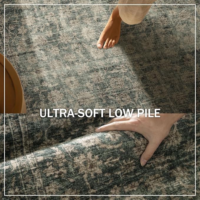 Machine Washable Throw Rugs for Entryway: Door Mat Indoor Entrance 3x5 Rug Boho - Image 4