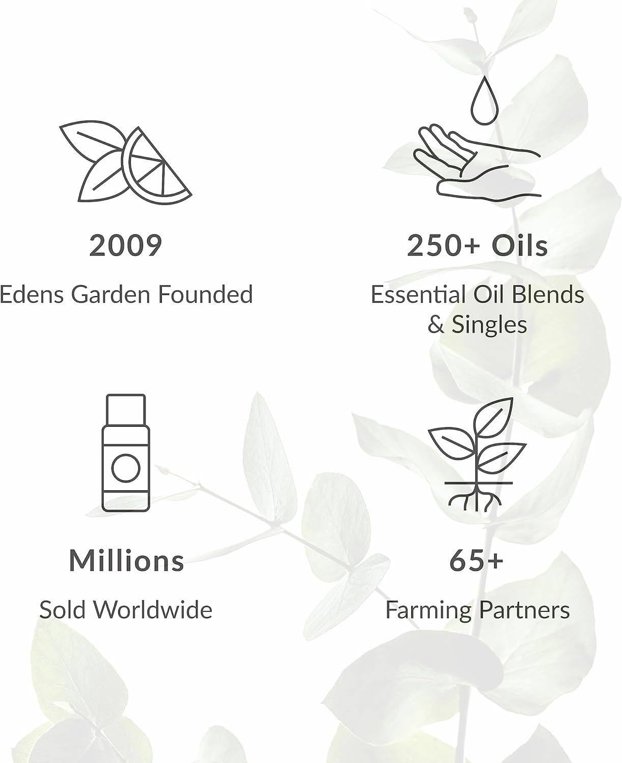 Edens Garden Relaxation Essential Oil Roll-On Blend- 100% Pure Premium Grade, Natural, Therapeutic, Aromatherapy, Kid & Skin Safe, The Best for Comfort, Relaxation Pre-Diluted 10 ml (.33 fl oz)
